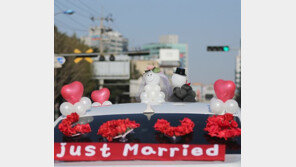 예비부부, 가장 가고 싶은 신혼여행지 3위 발리·2위 하와이…1위는 ‘○○’