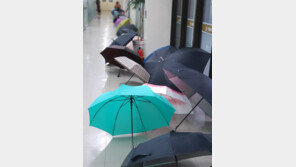 公기관 年1억장 ‘우산 비닐커버’ 퇴출