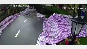 [영상]50m 포장도로 순식간에 ‘와르르’ …지진 같은 도로침하, 왜?