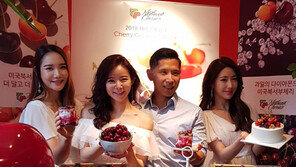 미국북서부체리협회,  ‘체리고메위크’ 행사 개최