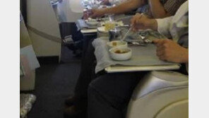 아시아나항공 기내식 대란→하청업체 대표 자살까지…진상조사 촉구 靑청원 쇄도 