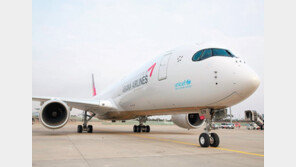 협력사 대표 자살 불러온 아시아나항공 노밀(no meal) 사태