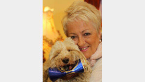 8년 간 마을 쓰레기 치운 강아지 ‘기특’ …시장은 공로상 선물