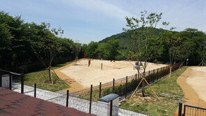 인천대공원 ‘반려동물 놀이터’ 개장