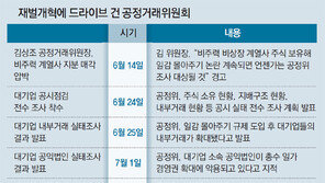 이번엔 지주사… 재벌개혁 몰아치는 김상조