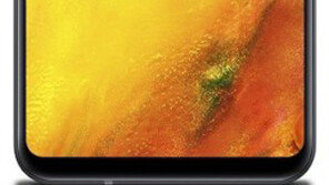 ‘폰’해전술?… 삼성-LG, 새 스마트폰 7월까지 18종 쏟아내