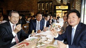 “과자처럼 먹는 한끼”… 오리온, 3조 간편대용식 시장 진출