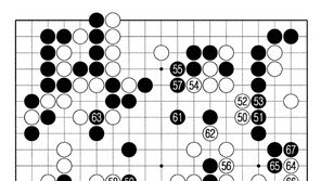 [바둑]알파고 vs 알파고 특선보… 순한 양처럼