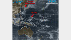 제8호 태풍 마리아 발생은 ‘가짜뉴스’?…기상청 “아직 생성된 태풍 없다”