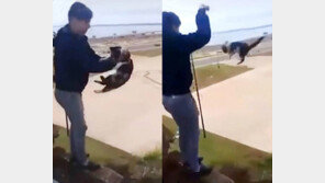 10m 절벽위서 고양이 집어던지고 ‘깔깔깔’…잔인한 남녀 처벌 요구 ‘빗발’