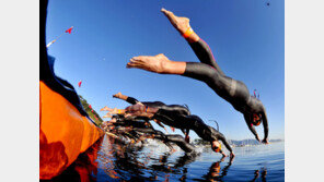 KGC, 철인3종 국대팀 ‘홍삼톤골드’ 후원