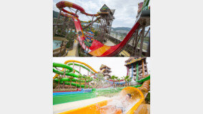 물 만난 여름…롯데워터파크서 제대로 즐기자