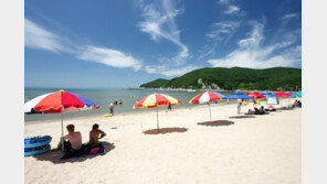 인천지역 해수욕장 수질-백사장 모래 ‘양호’