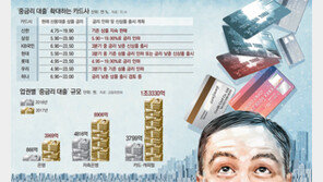 카드사들, 高금리 허물 벗고 中금리 시장으로…