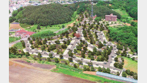 양평 ‘숲속 과수원 마을 더필란’, 주말 농장 갖춘 전원마을