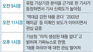 네이버 타고 번진 “태풍 또 북상” 가짜뉴스