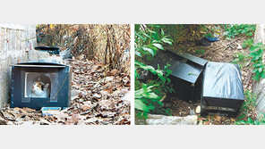 길고양이 쉼터 갈등… ‘묘책’ 없나요