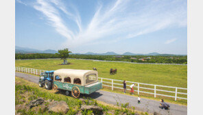 [경마 단신] 말과 함께하는 제주 원데이 투어 지원 外