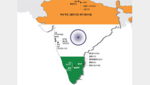 한국 기업들, 인도의 매력에 푹 빠지다