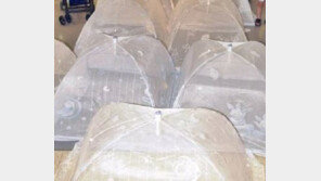 전국 ‘일본뇌염’ 경보 발령…예방 방법은? ‘긴 옷 착용·모기 기피제 사용’