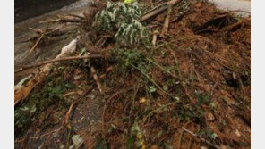 일본 지진, 집중 폭우까지 재난 연속…산사태로 사상자 속출 