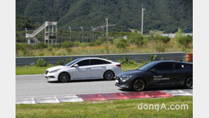 5만원 투자해 서킷 주행… 현대차 드라이빙 체험행사 매진 행진