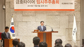 금호타이어, 6463억 中 자본 유치