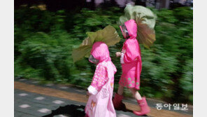 [고양이 눈]화려한 외출