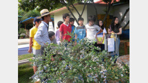 직접 수확하고 맛보고…‘과일체험’ 농촌여행
