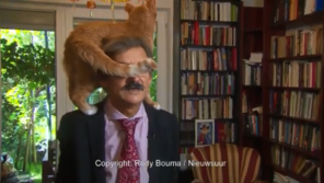 [영상]정치문제 인터뷰 중 주인 어깨로 ‘폴짝’…반려묘  ‘깜찍’ 방송사고