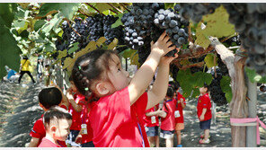 “새콤달콤 여름과일 따러 오세요”