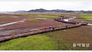 수채화 같은 증도 태평염전