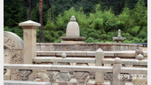 금강송이 인사하는…유네스코 세계문화유산 양산 ‘통도사’ 가보니