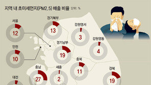 서울 초미세먼지 88% 외부서 유입… 국내선 ‘충남發’ 가장 많아