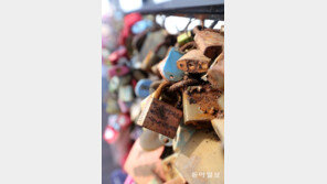 [고양이 눈]망각