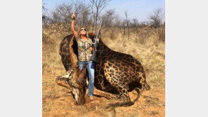 게임하듯 동물 사냥… 부자들의 잔혹한 놀이 ‘트로피 헌팅’