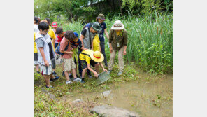 멸종위기 북방산 개구리 방사