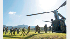 UFG 내년부터 한국 단독훈련으로 축소… 올해는 을지연습도 중단