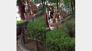 대구 ‘평화의 소녀상’ 돌로 퍽퍽?…경찰 “진상 파악 중”