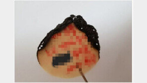 천주교주교회의 “워마드 성체 훼손 논란, 조만간 바티칸에 보고”