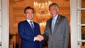 [청계천 옆 사진관]싱가포르…독재자들의 꿈? 