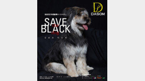  디자이너 브랜드 다솜(DASOM), 블랙독 사진전 후원