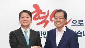 외국으로 떠나는 홍준표·안철수, 정계 은퇴는 없었다…복귀 여지 남겨