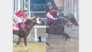 시리즈 경주 중간점검, 서울-부경 경쟁 팽팽