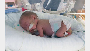 ‘302g 아기’ 사랑이의 기적에 누리꾼 응원 메시지…“꽃길만 걸으렴”