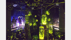 “반딧불이 보러 에버랜드 가자”…20일부터 체험장 오픈