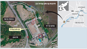 한국 ‘9월 종전선언’ 타진에… 美 “北 태도 두고봐야” 부정적