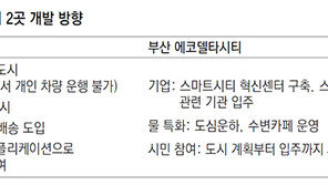 세종 ‘공유 자동차 도시’ vs 부산 ‘친환경 물 특화 도시’