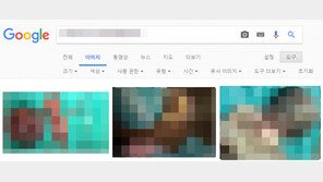 워마드 태아 사진, 해외 사이트서 발견…“구글서 퍼온 것도 모르고ㅋㅋㅋ”