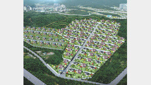 레저-쇼핑-교통 인프라 모두 갖춘 ‘명품 전원주택단지’
